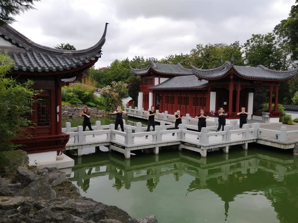 Tai Chi & Qigong Kurs